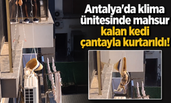 Antalya'da klima ünitesinde mahsur kalan kedi çantayla kurtarıldı!