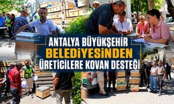 Antalya Büyükşehir Belediyesinden üreticilere kovan desteği!