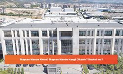 Maysan Mando Kimin? Maysan Mando Hangi Ülkenin? Boykot mu?