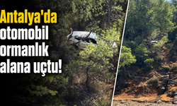 Antalya'da otomobil ormanlık alana uçtu!