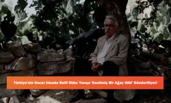 Türkiye'nin Oscar Umudu Belli Oldu: Yarışa 'Kesilmiş Bir Ağaç Gibi' Gönderiliyor!