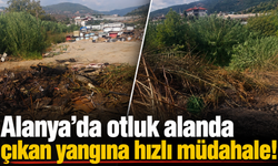 Alanya’da otluk alanda çıkan yangına hızlı müdahale!