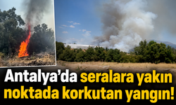 Antalya’da seralara yakın noktada korkutan yangın!
