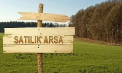 Antalya Serik’te 11 Milyon TL Değerindeki 7 Bin 206 m² Arsa Mahkemeden Satışa Çıkarıldı
