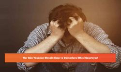 Her Gün Yaşanan Stresin Kalp ve Damarlara Etkisi Şaşırtıyor!