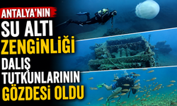 Antalya’nın su altı zenginliği dalış tutkunlarının gözdesi oldu