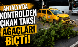 Antalya'da kontrolden çıkan taksi ağaçları biçti!