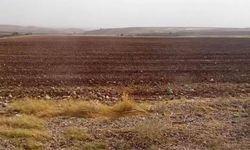 Antalya Kepez’de 14 Bin Metrekarelik Tarla Hissesi İcradan Satılıyor! İhale Tarihleri Belli Oldu