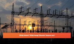 TEİAŞ Kimin? TEİAŞ Hangi Ülkenin? Boykot mu?