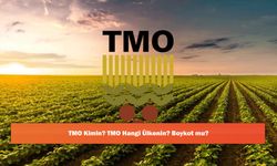 TMO Kimin? TMO Hangi Ülkenin? Boykot mu?