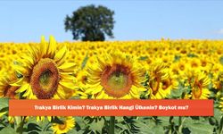 Trakya Birlik Kimin? Trakya Birlik Hangi Ülkenin? Boykot mu?