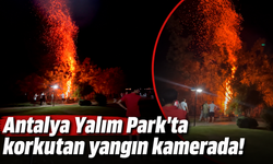 Antalya Yalım Park'ta korkutan yangın kamerada!
