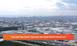 Yayla Agro Gıda Kimin? Yayla Agro Gıda Hangi Ülkenin? Boykot mu?