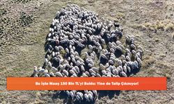 Bu İşte Maaş 150 Bin TL’yi Buldu: Yine de Talip Çıkmıyor!