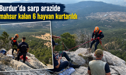 Burdur’da sarp arazide mahsur kalan 6 hayvan kurtarıldı