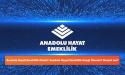 Anadolu Hayat Emeklilik Kimin? Anadolu Hayat Emeklilik Hangi Ülkenin? Boykot mu?