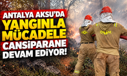 Antalya Aksu'da yangınla mücadele cansiparane devam ediyor!