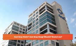 Anel Grup Kimin? Anel Grup Hangi Ülkenin? Boykot mu?