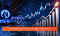Anel Elektrik Kimin? Anel Elektrik Hangi Ülkenin? Boykot mu?