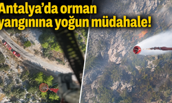 Antalya’da orman yangınına yoğun müdahale!