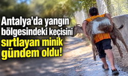Antalya'da yangın bölgesindeki keçisini sırtlayan minik gündem oldu!