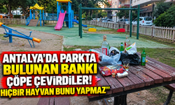 Antalya'da parkta bulunan bankı çöpe çevirdiler: "Hiçbir hayvan bunu yapmaz"