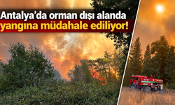 Antalya’da orman dışı alanda yangına müdahale ediliyor!