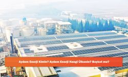 Aydem Enerji Kimin? Aydem Enerji Hangi Ülkenin? Boykot mu?