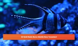 22 Eylül Balık Burcu Günlük Burç Yorumları!