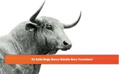 21 Eylül Boğa Burcu Günlük Burç Yorumları!