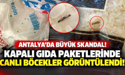 Antalya'da büyük skandal! Kapalı gıda paketlerinde canlı böcekler görüntülendi!