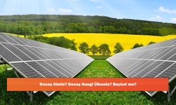 Desaş Kimin? Desaş Hangi Ülkenin? Boykot mu?