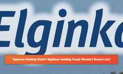 Elginkan Holding Kimin? Elginkan Holding Hangi Ülkenin? Boykot mu?