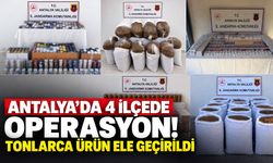 Antalya’da 4 ilçede operasyon! Tonlarca ürün ele geçirildi
