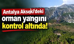 Antalya Akseki'deki orman yangını kontrol altında!