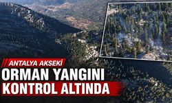 Antalya'nın Akseki ilçesinde çıkan orman yangını kontrol altında
