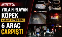 Antalya’da yola fırlayan köpek kazaya neden oldu: 6 araç çarpıştı