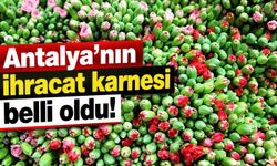 Antalya’nın ihracat karnesi belli oldu!