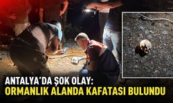Antalya'da şok olay: Ormanlık alanda kafatası bulundu