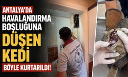 Antalya’da havalandırma boşluğuna düşen kedi böyle kurtarıldı!