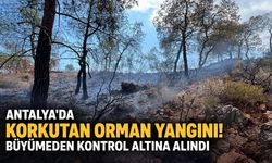 Antalya'da korkutan orman yangını! Kontrol altına alındı
