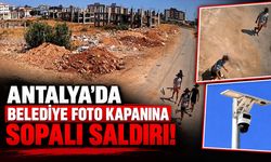 Antalya’da belediye foto kapanına sopalı saldırı! O anlar kamerada
