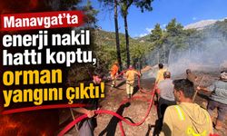 Manavgat’ta enerji nakil hattı koptu, orman yangını çıktı!