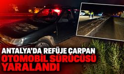 Antalya'da refüje çarpan otomobil sürücüsü yaralandı