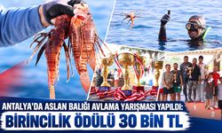 Antalya'da aslan balığı avlama yarışması yapıldı: Birincilik ödülü 30 bin TL
