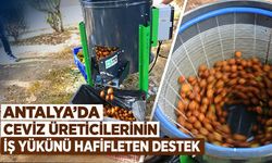 Antalya’da ceviz üreticilerinin iş yükünü hafifleten destek