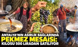 Antalya’nın asırlık bağlarında pekmez mesaisi: Kilosu 500 liradan satılıyor