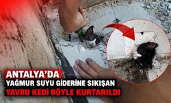 Antalya’da yağmur suyu giderine sıkışan yavru kedi böyle kurtarıldı