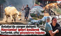 Antalya’da yangın dehşeti: Hayvanlar ipleri kesilerek kurtarıldı, çiftçi gözyaşlarına boğuldu