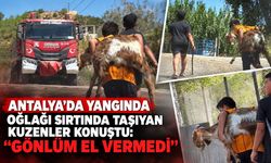Antalya'da yangında oğlağı sırtında taşıyan kuzenler konuştu: “Gönlüm el vermedi”